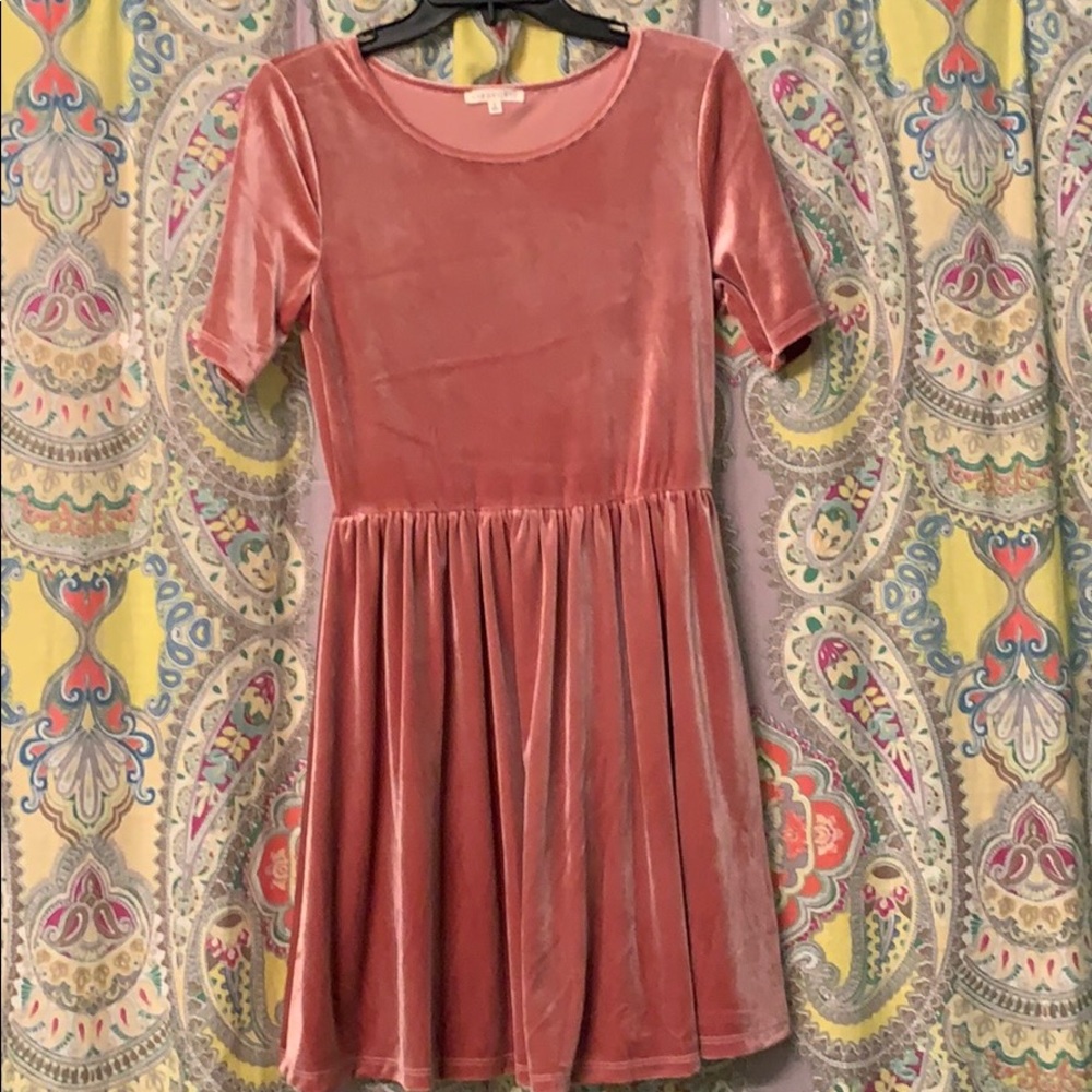 Velvet pink dress